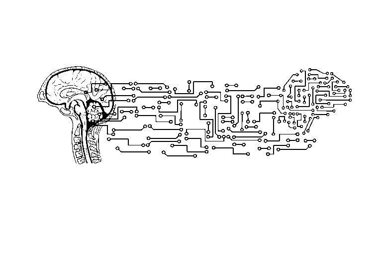 brain, circuit board, artificial intelligence, technology, conductor tracks, connections, network, digital, think, cut out, artificial intelligence, artificial intelligence, artificial intelligence, artificial intelligence, artificial intelligence